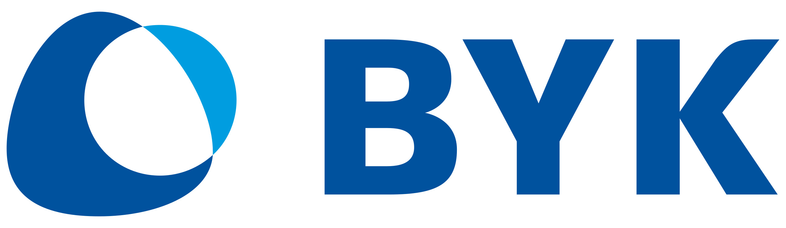 Logo BYK